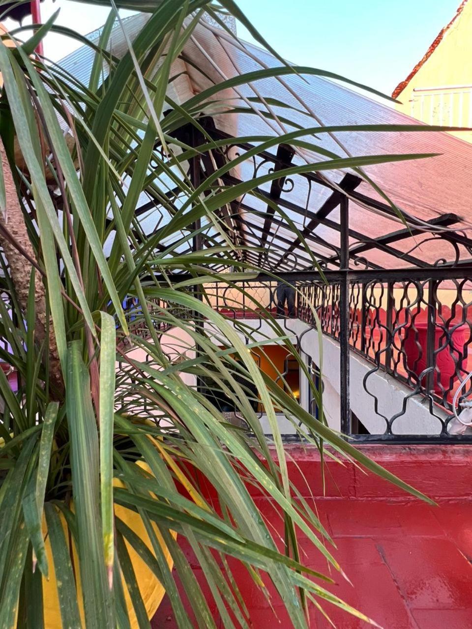 الرباط Riad Oyoune المظهر الخارجي الصورة